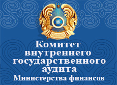 Комитет внутренннего государственного аудита